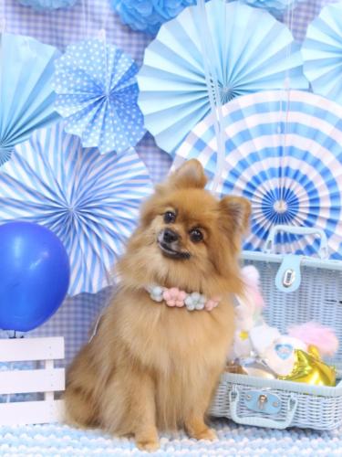 20231108ルルちゃん